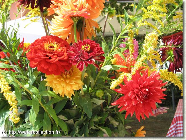 Diapositive suivante